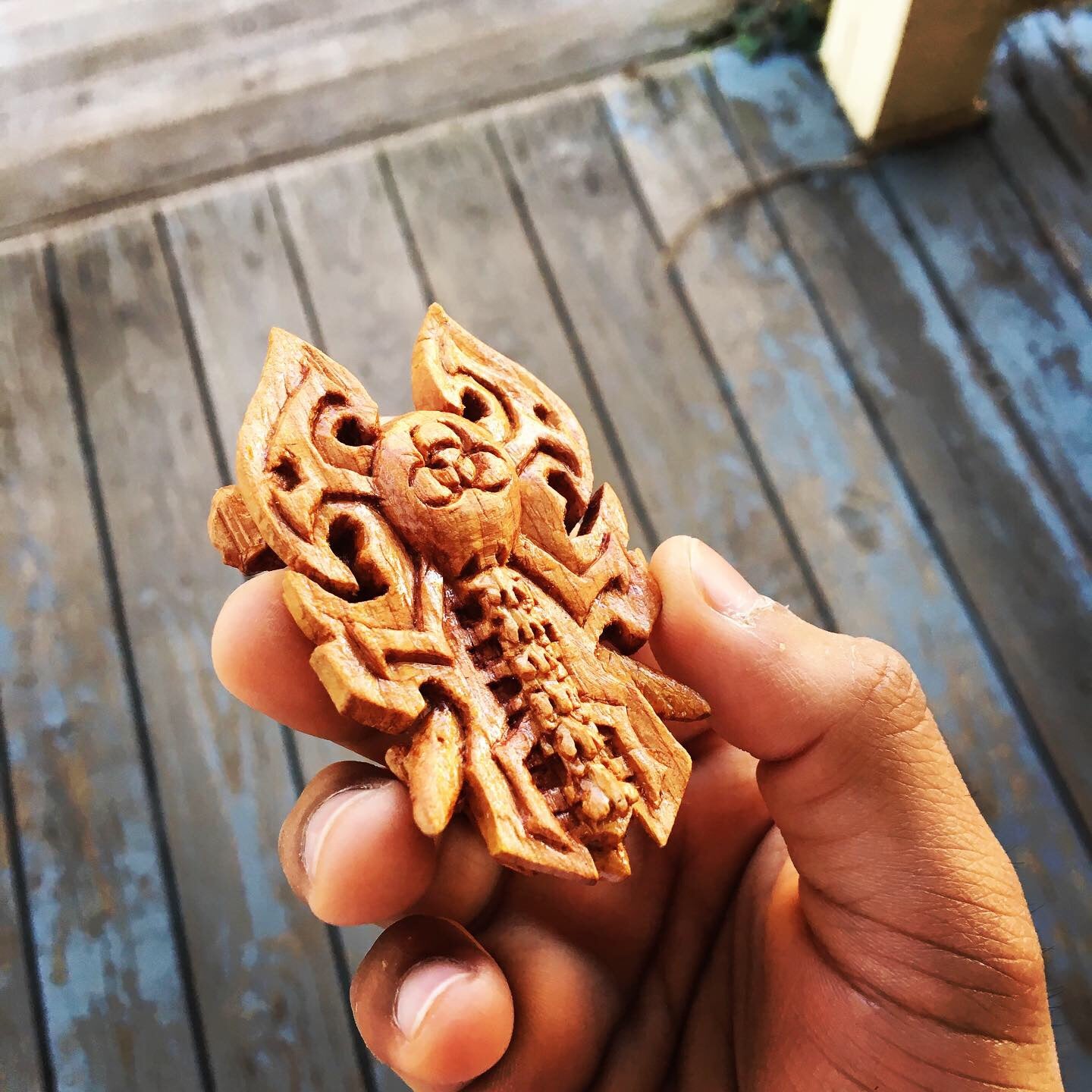 spinal cord carving